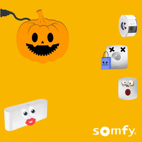 Happy Fun GIF by Somfy