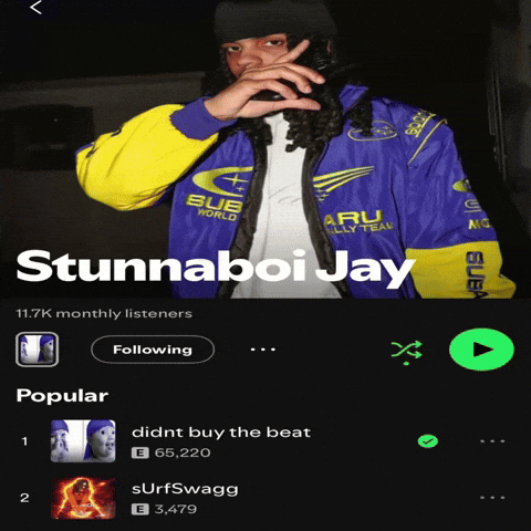 Stunna GIF