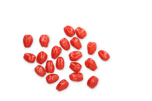 Healthyfood Vega Sticker by RijkZwaan