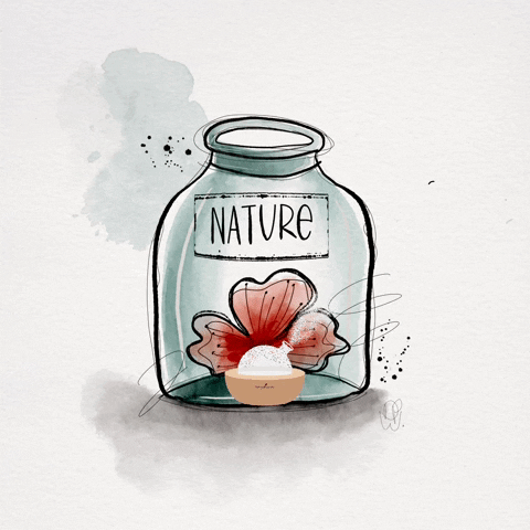 GIF by Danielle prins