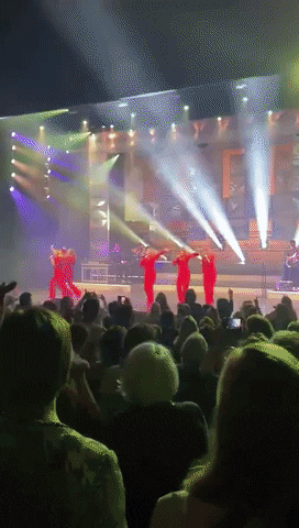 GIF by Zaantheater