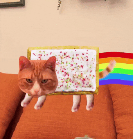 Not Listening Space Cat GIF