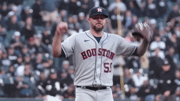 Houston Astros Win GIF by MLB