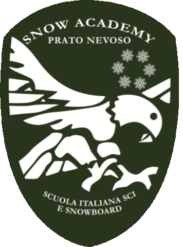 Ski Snowboard Sticker by Snow Academy