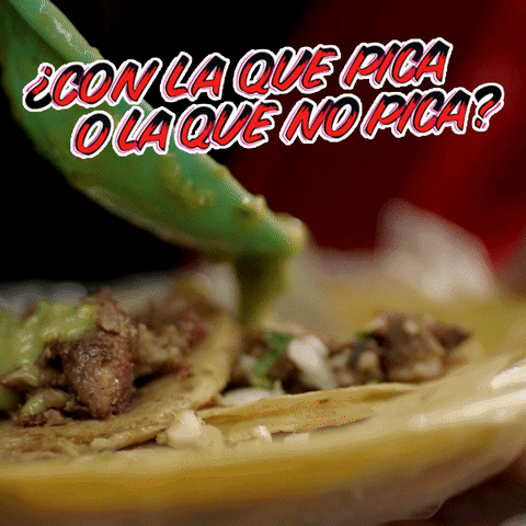 GIF by Cerveza Victoria