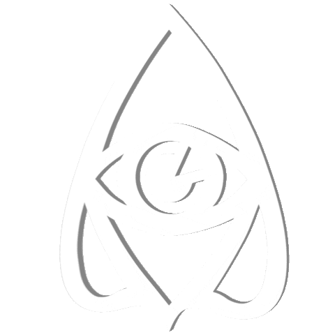 2961 Sticker by Paranormal Festival