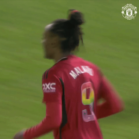 Football Celebrate GIF by Manchester United