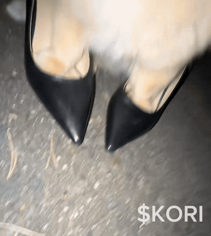 Party Dog GIF