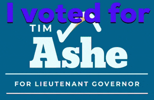 TimAsheVT i voted tim ashe timashevt tim ashe vermont GIF