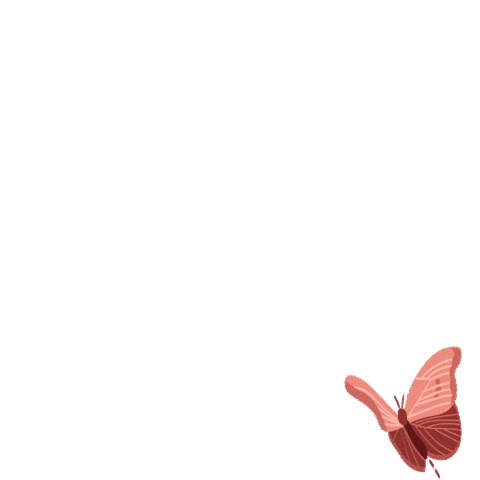 Butterfly Sticker by Irisa Cosmetics