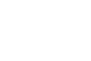 Townandshore Sticker by Town & Shore Real Estate