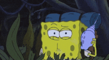 Monkey Spongebob GIF