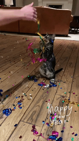 Celebrate Happy New Year GIF by Crystal Hills Organics - Find & Share on GIPHY