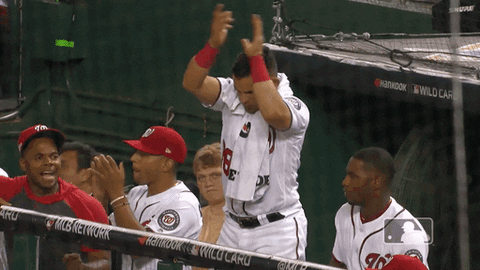 GIFs, The Dugout Perspective