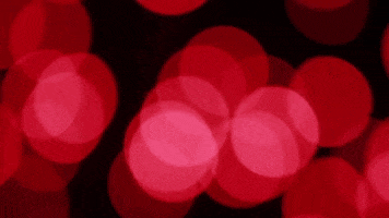 Happy New Year GIF