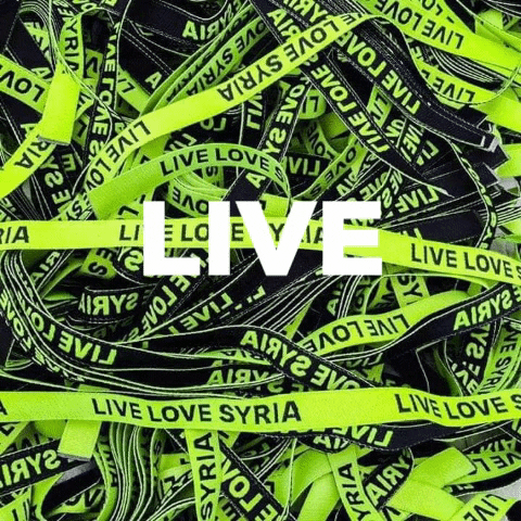 Livelovesyria syria bracelet damascus aleppo GIF