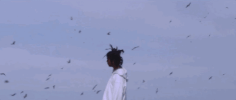 music video dog GIF by Conner Youngblood
