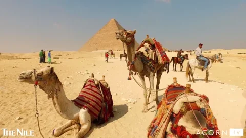 Middle East Egypt GIF by Acorn TV