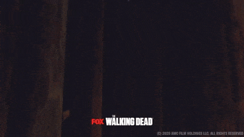 200.gif?cid=fc005b0807c09bdcc92f777b2140f969beb173ca9127d8b9&rid=200.gif&ct=g