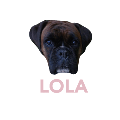 Lola L'Beau Sticker