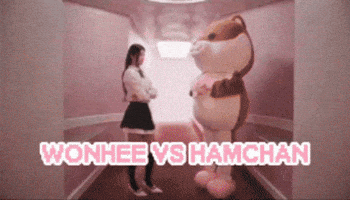 Sunday Morning Vs GIF