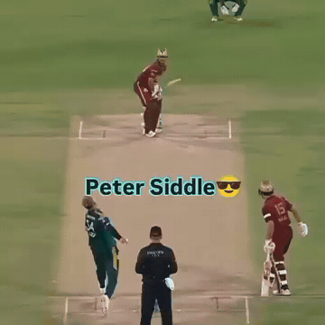 Peshawar Zalmi Pakistan GIF