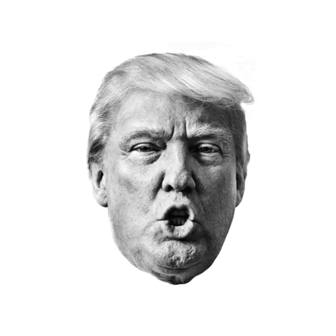 Donald Trump GIF by HOPE not hate