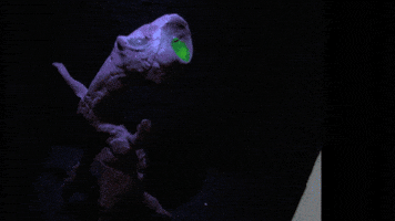 GIF by Carl Knickerbocker