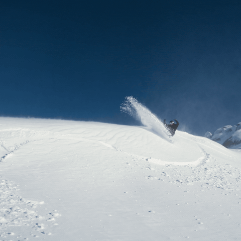 GIF by Thredbo