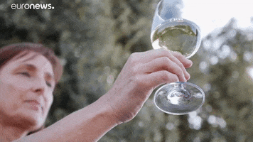 White Wine Loop GIF by euronews