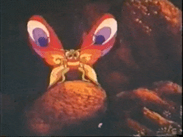 Sudsakorn 1979 GIF