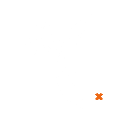 Sport Fitness Sticker by FitX