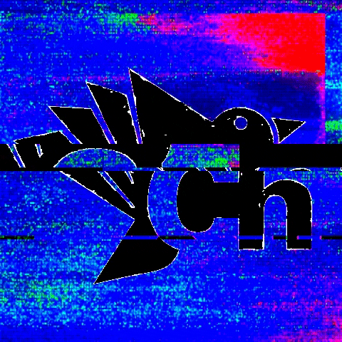 Champe Creative Agency GIF