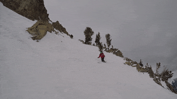Ski Patrol Skiing GIF by Elevated Locals