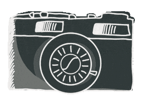 Film Picture Sticker