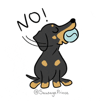 200.gif