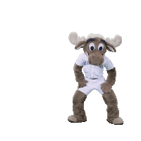 200.gif?cid=95b279448cae8927736d8a028f7a