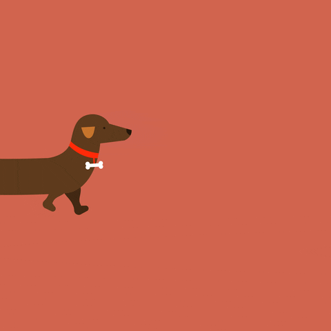 jportch dog illustration loop dachshund GIF