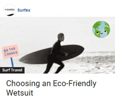 wetsuit oceanfriendly GIF by Gifs Lab