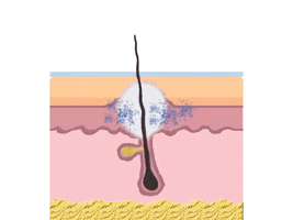 How Ophelia Moisturizes GIF