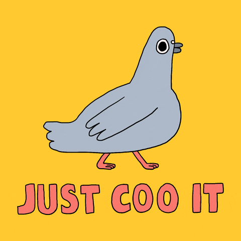 Just Do It Bird GIF by Sherchle
