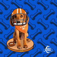 Lets Play Football GIF by Puppy Bowl