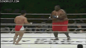 fat guy fighting GIF by Cheezburger