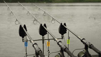 Forgotten Flavours GIF