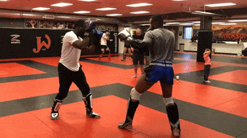 Ufc Kick GIF by Jackson Wink MMA Academy