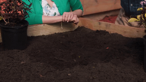 Sara Rue True Love Blooms GIF by Hallmark Channel - Find & Share on GIPHY