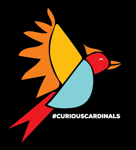 Curious Cardinals GIF