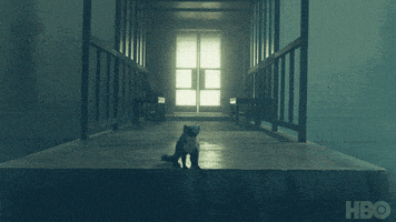 Hbo Pan GIF by His Dark Materials
