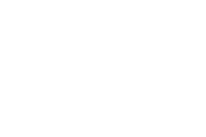 strozzis Sticker