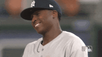 New York Smile GIF by MLB